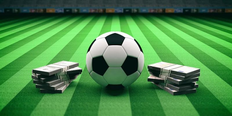 Giới thiệu về C-Sports Ku88